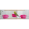 Plastic Coop Cups